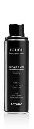 TOUCH UP AND DOWN 250 ML ND